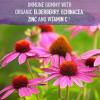 Garden of Life Immune Support Bundle: Organics Elderberry Echinacea, Zinc Gummies 120 Count + Dr Formulated Kids Probiotics Berry Cherry Shelf Stable 30ct + Kids Vitamin D3 Orange Gummies 60ct