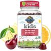 Garden of Life Kids Gummies Bundle: Organics Kids Multivitamin – Fruit, 120 Count + Kids Immune Gummy – Cherry, 60ct + Dr. Formulated Kids Probiotic 5 Billion CFU & D3 – Strawberry, 60 Gummies(Fruit Multivitamin + Cherry Immune + Strawberry Probiotic)