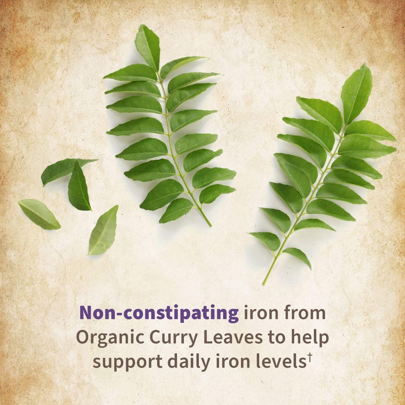 image:imageGarden of Life Organics Prenatal Vitamin Folate for Energy amp Healthy Fetal Development Nonconstipating Iron Vitamin C B6 B12 D3 Organic NonGMO GlutenFree Vegan 30 Day Supply90 Count Pack of 2