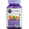 Garden of Life Organics Prenatal Gummies – Prenatal Vitamins for Women with Energy Metabolism Support & Healthy Fetal Development Support, Berry Flavor, USDA Organic, Vegan, 30 Day Supply(120 Count (Pack of 6))