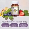 Garden of Life Organics Prenatal Vitamin: Folate for Energy & Healthy Fetal Development, Non-constipating Iron, Vitamin C, B6, B12, D3 – Organic, Non-GMO, Gluten-Free, Vegan, 30 Day Supply(30 Count (Pack of 1))