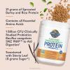 Garden of Life Plant-Based Sprouted Barley Protein, Vanilla Caramel with 21g Protein, 0g Sugar & Clean Ingredients, Upcycled Barley, Probiotics, Non-GMO, use in Shakes, Smoothies & Baking, 20 Servings(Vanilla Caramel)