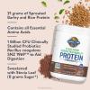 Garden of Life Plant-Based Sprouted Barley Protein, Vanilla Caramel with 21g Protein, 0g Sugar & Clean Ingredients, Upcycled Barley, Probiotics, Non-GMO, use in Shakes, Smoothies & Baking, 20 Servings(Chocolate)