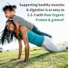 Garden of Life Raw Protein & Greens Vanilla Protein Powder – 20g Plant Based Greens Powder, Probiotics & Enzymes, Post-Workout Recovery, Vegan, Gluten-Free, Non-GMO, 20 Servings(Chocolate)
