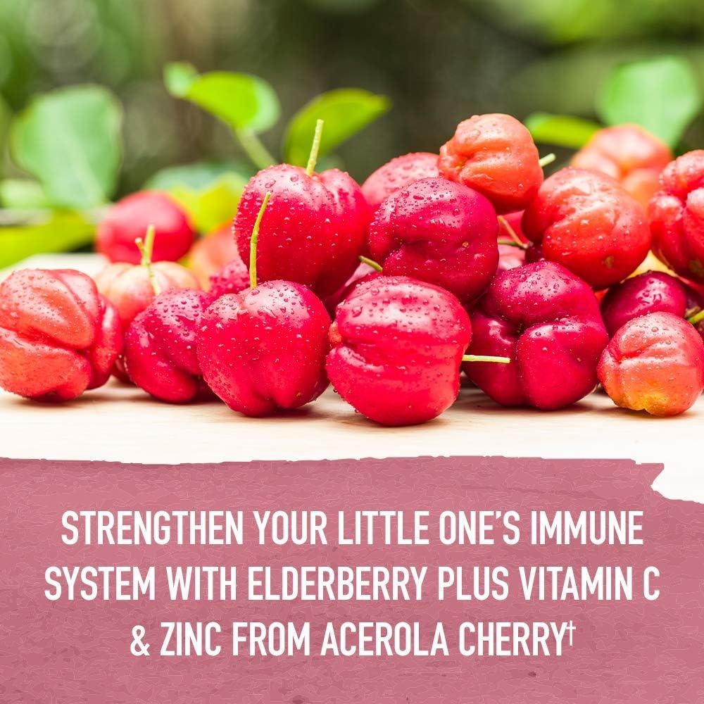 image:imageGarden of Life Organics Elderberry amp Zinc for Childrens Immune Support Kids Cough amp Mucus Immune Syrup with Ivy Leaf Vitamin C and Echinacea for Children AlcoholFree No Added Sugars 392 fl oz