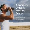 Garden of Life Meal Replacement Shakes, Raw Organic, Vanilla Protein Powder with Plant Based Pea Protein, Sprouts, Greens, Probiotics, Dairy Free 28 Servings
