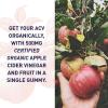 Garden of Life Organics Apple Cider Vinegar Gummies with Vitamin B12 – Organic ACV Gummy Vitamins, Vegan, Gluten-Free, Non-GMO, 60 Gummies