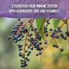 Garden of Life Organics Elderberry Zinc Immune Support for Adults and Kids 12 and Older with Vitamin C – Organic Elderberry & Sleep Immune Syrup Liquid with Sleep Herbs, No Added Sugars, 6.59 fl oz