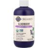 Garden of Life Organics Plant Based Elderberry Immune Syrup 6.59 floz (195 mL) for Kids & Adults – Sambucus, Echinacea, Zinc & Vitamin C, 0g Sugar, Organic Vegan Gluten Free Herbal Supplement