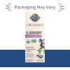 Garden of Life Organics Plant Based Elderberry Immune Syrup 6.59 floz (195 mL) for Kids & Adults – Sambucus, Echinacea, Zinc & Vitamin C, 0g Sugar, Organic Vegan Gluten Free Herbal Supplement
