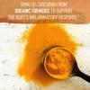 Garden of Life Organics Turmeric Booster Inflammatory Response Powder – 30 Servings, 50mg Curcumin (95% Curcuminoids) & Probiotics, Organic Non-GMO Vegan & Gluten Free Herbal Supplements