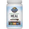 Garden of Life Meal Replacement Shakes, Raw Organic, Chocolate Protein Powder with Plant Based Pea Protein, Sprouts, Greens, Probiotics, Dairy Free 28 Servings