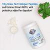 Garden of Life Grass Fed Collagen Creamer Powder – Creamy Vanilla, 12 Servings, Powder for Coffee Energy Beauty Joints, Collagen Peptides with Coconut MCTs, Keto Protein Supplements