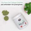Garden of Life Grass Fed Collagen Greens Beauty Powder – Apple, 14 Servings, Powder for Women Skin Hair Nails Joints, Collagen Peptides Powder + Protein + Greens Supplement