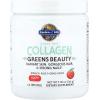 Garden of Life Grass Fed Collagen Greens Beauty Powder – Apple, 14 Servings, Powder for Women Skin Hair Nails Joints, Collagen Peptides Powder + Protein + Greens Supplement
