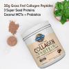 Garden of Life Grass Fed Collagen Protein Powder – Chocolate, 14 Servings, Powder for Joints Mobility Muscle Repair, Collagen Peptides + Super Seeds + Coconut MCTs, Keto Supplement(Chocolate)