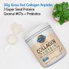 Garden of Life Grass Fed Collagen Protein Powder – Chocolate, 14 Servings, Powder for Joints Mobility Muscle Repair, Collagen Peptides + Super Seeds + Coconut MCTs, Keto Supplement(Vanilla)