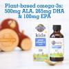 Garden of Life Kids Plant Omega-3 Liquid, Strawberry – Vegan Brain & Eye Support for Kids, Plant-Based Children’s Omega 3 ALA, DHA & EPA Supplement for Children, Sugar Free & Non-GMO – 2 fl oz Liquid