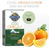 Garden of Life Minami Algae Omega 3 Vegan DHA for Brain and Eye Health – Orange Flavor, 500mg Plant Based DHA Omega-3 Vegan Algae Oil plus Astaxanthin, No aftertaste, 60 easy-to-swallow Mini Softgels(Algae Omega-3)