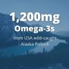 Garden of Life Oceans 3 Beyond Omega-3 with OmegaXanthin, EPA, DHA Supplements, Fish Oil with 1200 mg Omega 3, Astaxanthin & Brown Seaweed Extract – 60 Softgels(60 Count (Pack of 1))