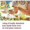 Garden of Life Organics Plant Iron & Organic Herbs – Organic Plant-Sourced Iron + Herbs (Cranberry-Lime Liquid) 8oz Liquid