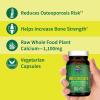 Garden of Life Raw Calcium Supplement for Women and Men – Vitamin Code Made from Whole Foods with Magnesium, K2, Vitamin D3 and Vitamin C Plus Probiotics for Digestion, 60 Capsules(60 Count (Pack of 1))