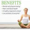 Garden of Life Vitamin B Complex, 60 Vegan Capsules, High Potency Vitamins for Energy & Metabolism with B6, Folate & B12 as Methylcobalamin Plus Probiotics