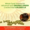 Garden of Life Vitamin D, Vitamin Code Raw D3, Vitamin D 2,000 IU, Raw Whole Food D3 Supplements with Chlorella, Fruit, Veggies & Probiotics for Bone & Immune Health, 60 Vegetarian Capsules(120 Count (Pack of 2))
