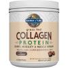 Garden of Life Grass Fed Collagen Protein Powder – Chocolate, 14 Servings, Powder for Joints Mobility Muscle Repair, Collagen Peptides + Super Seeds + Coconut MCTs, Keto Supplement(Chocolate)