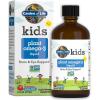 Garden of Life Kids Plant Omega-3 Liquid, Strawberry – Vegan Brain & Eye Support for Kids, Plant-Based Children’s Omega 3 ALA, DHA & EPA Supplement for Children, Sugar Free & Non-GMO – 2 fl oz Liquid