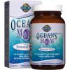 Garden of Life Oceans Mom Prenatal Fish Oil DHA, Omega 3 Supplement – Strawberry, 350mg Prenatal DHA Pregnancy Fish Oil Support for Mamas, Babys Brain & Eye Development, 30 Small Softgels(30 Count (Pack of 1))