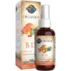Garden of Life Organics B-12 Spray with Methylcobalamin – Liquid Vitamin Spray for Energy, Metabolism & Heart Health Support, Raspberry Flavor, 2 Fl Oz Bottle, 140 Servings