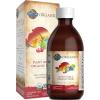 Garden of Life Organics Plant Iron & Organic Herbs – Organic Plant-Sourced Iron + Herbs (Cranberry-Lime Liquid) 8oz Liquid