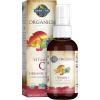 Garden of Life Organics Vitamin C Spray Featuring Amla Berry – Liquid Vitamin C Supplement for Immune & Skin Health Support, USDA Organic, Non-GMO, Vegan, Cherry Tangerine Flavor, 2 Fl Oz Bottle(2 Fl Oz (Pack of 1))