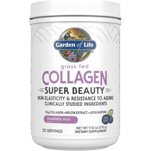 Garden of Life Grass Fed Collagen Powder, Blueberry Acai, Hydrolyzed Collagen Peptides Powder Supplement Drink Mix, 20 Servings