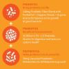 Garden of Life Dr Formulated Once Daily 3-in-1 Complete Probiotics, Prebiotics & Postbiotics – PRE + PRO + POSTBIOTIC Supplement for Adults’ Digestive & Immune Health, 30 Billion CFU, 30 Day Supply(Unflavored)