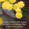 Garden of Life Dr. Formulated Organic Fiber Powder, Unflavored, Prebiotic Superfood Fiber Supplement, Constipation Relief, Psyllium Free, 32 Servings(Unflavored)