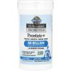 Garden of Life Dr. Formulated Probiotics Prostate+ – Acidophilus and Probiotic Supports Healthy Prostate and Digestive Balance – Shelf Stable – Gluten, Dairy, and Soy-Free – 60 Vegetarian Capsules(60 Count (Pack of 1))