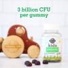 Garden of Life Kids Probiotic 3 Billion CFU, Cherry Flavor Gummies – Sugar Free Once Daily Probiotics for Kids, Probiotics plus Fiber for Children’s Digestive & Immune Health, 30 Vegetarian Gummies(30 Count (Pack of 1))