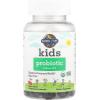 Garden of Life Kids Probiotic 3 Billion CFU, Cherry Flavor Gummies – Sugar Free Once Daily Probiotics for Kids, Probiotics plus Fiber for Children’s Digestive & Immune Health, 30 Vegetarian Gummies(30 Count (Pack of 1))