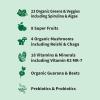 Garden of Life Sport Nutrition Greens and Superfoods Powder for Women and Men – Apple Berry, Organic Blend – Spirulina, Fruit, Vitamins, Pre & Probiotics, Mushrooms, Athletic Supplements, 30 Servings(Apple Berry)