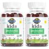Garden of Life Kids Probiotic 3 Billion CFU, Cherry Flavor Gummies – Sugar Free Once Daily Probiotics for Kids, Probiotics plus Fiber for Children’s Digestive & Immune Health, 30 Vegetarian Gummies(30 Count (Pack of 2))