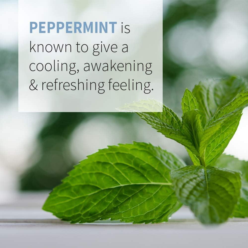 image:imageGarden of Life Essential Oil Peppermint 05 fl oz 15 mL 100 USDA Organic amp Pure Undiluted amp NonGMO for Diffuser Aromatherapy Meditation Energizing Invigorating Refreshing UpliftingPeppermint
