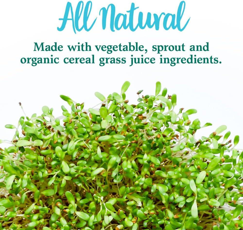 image:imageGarden of Life Perfect Food Super Green Formula 14 Servings 45 Superfoods Greens Fruit amp Veggie Juice Superfood Powder Supplement Probiotics amp Organic Spirulina for Digestion amp Immune HealthVegetable