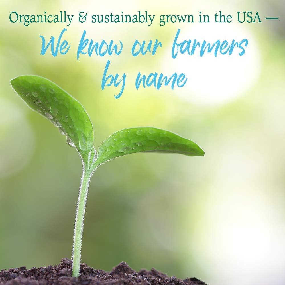 image:imageGarden of Life Raw Organic Perfect Food 100 Organic USA Wheat Grass Juice Juiced Green Superfood Greens Powder 60 Servings SteviaFree NonGMO Vegan Gluten Free Whole Food Dietary Supplement