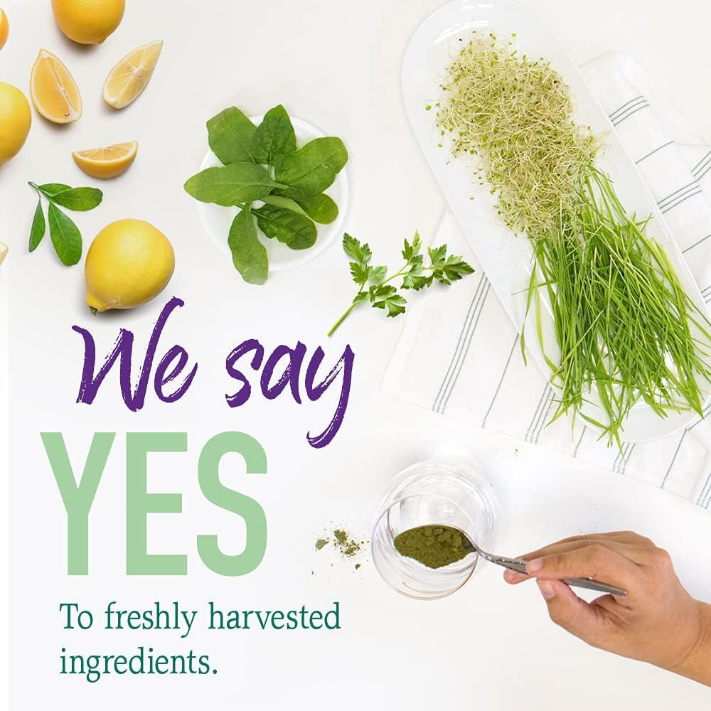 image:imageGarden of Life Raw Organic Perfect Food Alkalizer and Detoxifier Lemon Ginger Flavored Superfood Powder Supplement 30 ServingsLemon and ginger