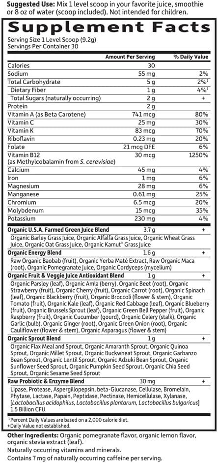 image:imageGarden of Life Raw Organic Perfect Food Energizer Juiced Green Superfood Powder Yerba Mate Pomegranate 30 Servings Green Superfood Powder amp Probiotics Gluten Free Whole Food Greens Supplements10 Ounce Pack of 2