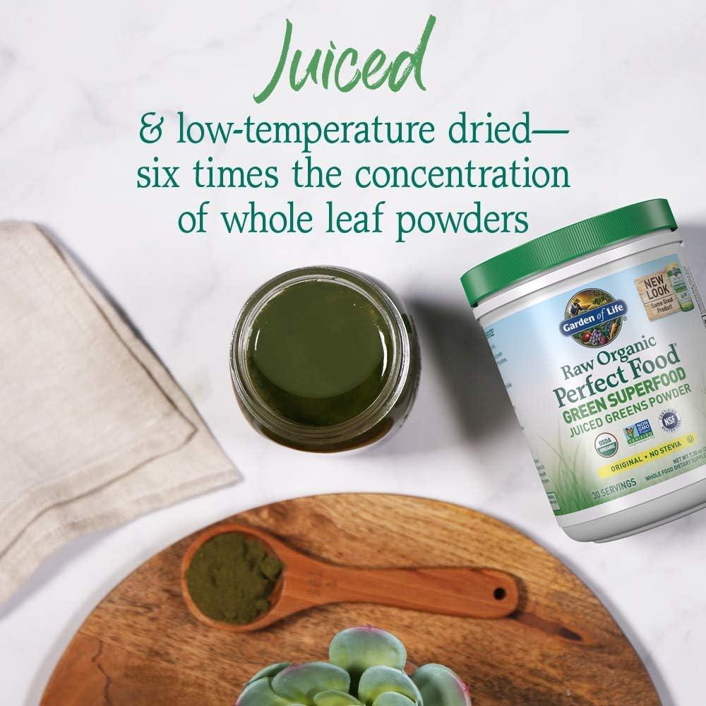 image:imageGarden of Life Raw Organic Perfect Food Green Superfood Juiced Greens Powder Original SteviaFree 30 Servings NonGMO Gluten Free Whole Food Dietary Supplement Alkalize Detoxify EnergizeOriginal