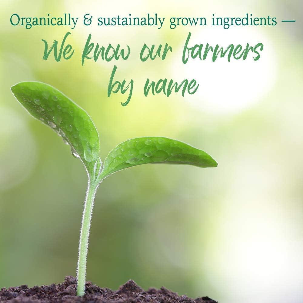 image:imageGarden of Life Raw Organic Perfect Food Green Superfood Juiced Greens Powder Original SteviaFree 30 Servings NonGMO Gluten Free Whole Food Dietary Supplement Alkalize Detoxify EnergizeOriginal