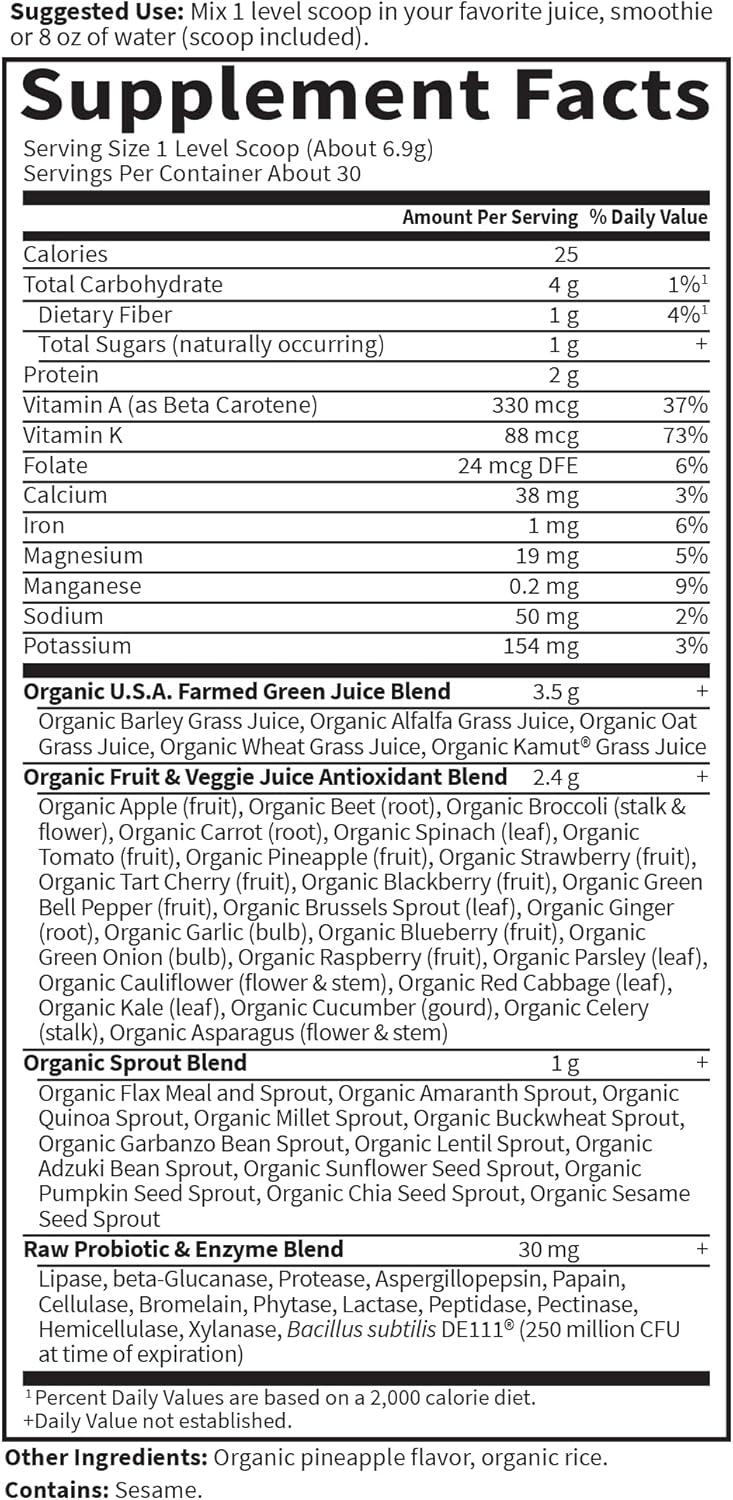 image:imageGarden of Life Raw Organic Perfect Food Green Superfood Juiced Greens Powder Original SteviaFree 30 Servings NonGMO Gluten Free Whole Food Dietary Supplement Alkalize Detoxify EnergizeOriginal